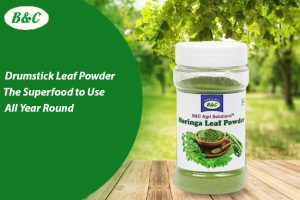 Drumstick Leaf Powder – The Superfood to Use All Year Round...