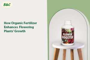 How Organic Fertilizer Enhances Flowering Plants’ Growth...