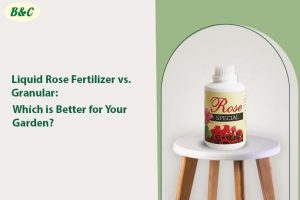 Liquid Rose Fertilizer vs. Granular: Which is Better for Your Garden?...