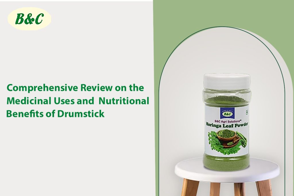 Comprehensive Review on the Medicinal Uses and Nutritional Benefits of Drumstick (Moringa Leaf Powder)