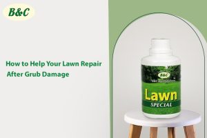 How to Help Your Lawn Repair After Grub Damage...