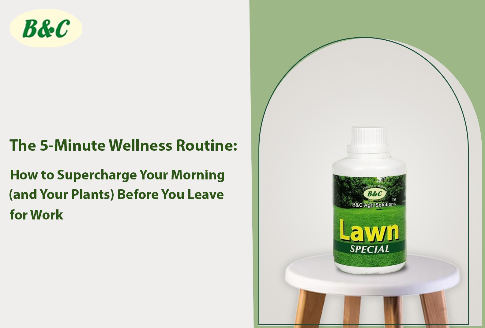 The 5-Minute Wellness Routine: How to Supercharge Your Morning (and Your Plants) Before You Leave for Work