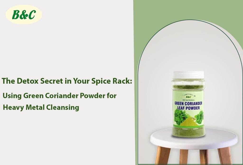 The Detox Secret in Your Spice Rack: Using Green Coriander Powder for Heavy Metal Cleansing