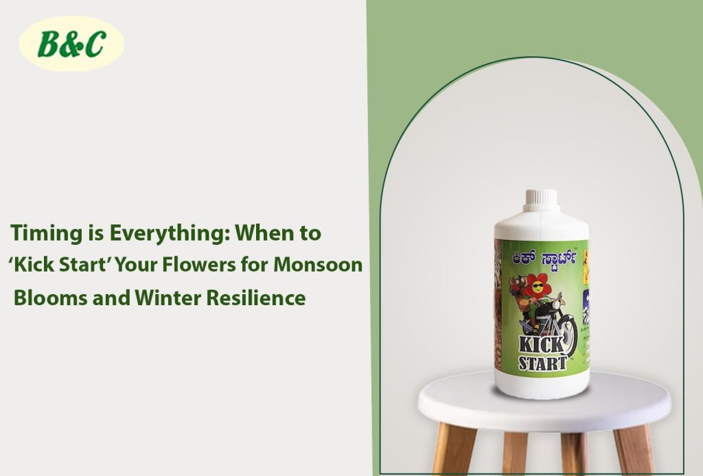 Timing is Everything: When to ‘Kick Start’ Your Flowers for Monsoon Blooms and Winter Resilience