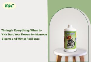 Timing is Everything: When to ‘Kick Start’ Your Flowers for Monsoon Blooms and...