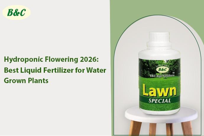 Hydroponic Flowering 2026: Best Liquid Fertilizers for Water-Grown Plants