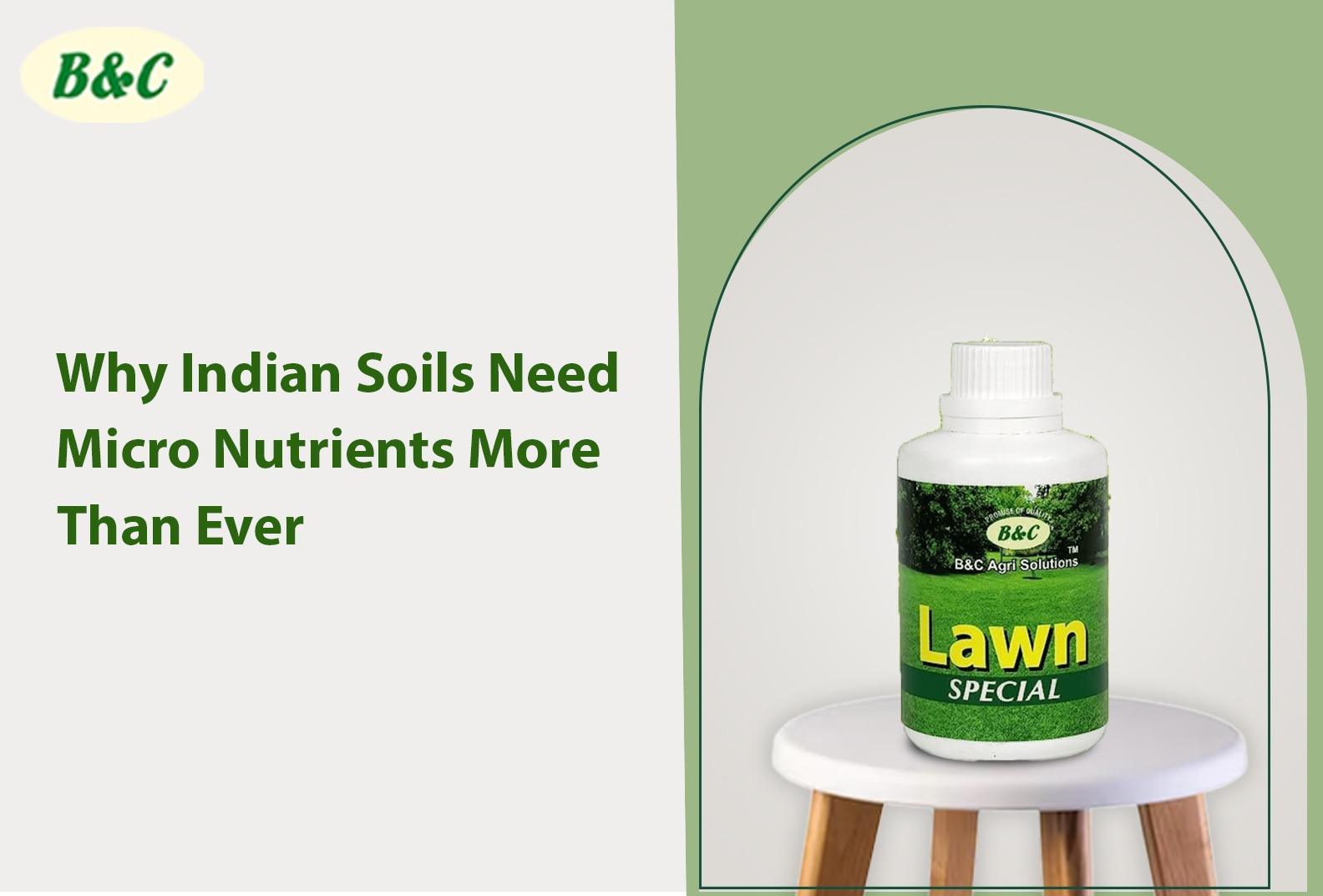 Why Indian Soils Need Micro Nutrients More Than Ever