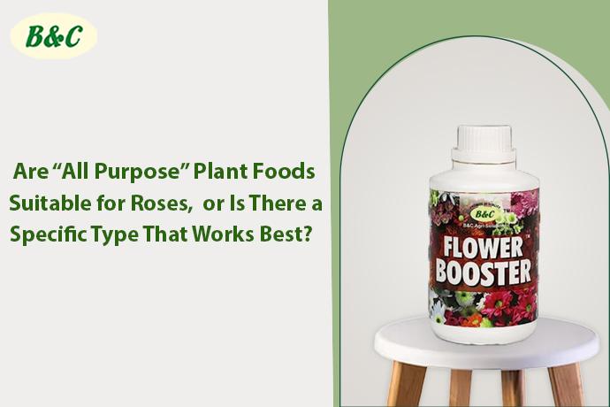 Are “All Purpose” Plant Foods Suitable for Roses, or Is There a Specific Type That Works Best?