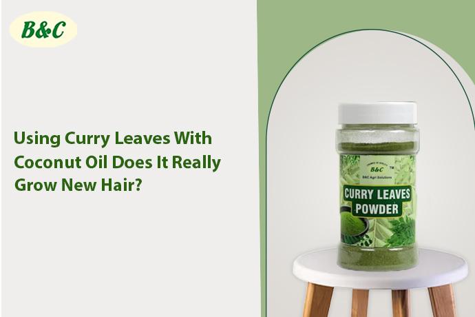 Using Curry Leaves With Coconut Oil — Does It Really Grow New Hair?