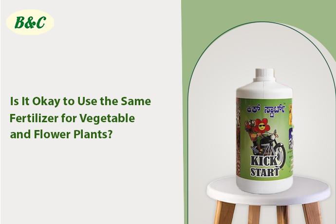 Is It Okay to Use the Same Fertilizer for Vegetable and Flower Plants?