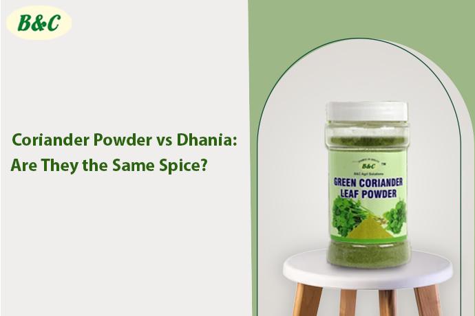 Coriander Powder vs Dhania: Are They the Same Spice?