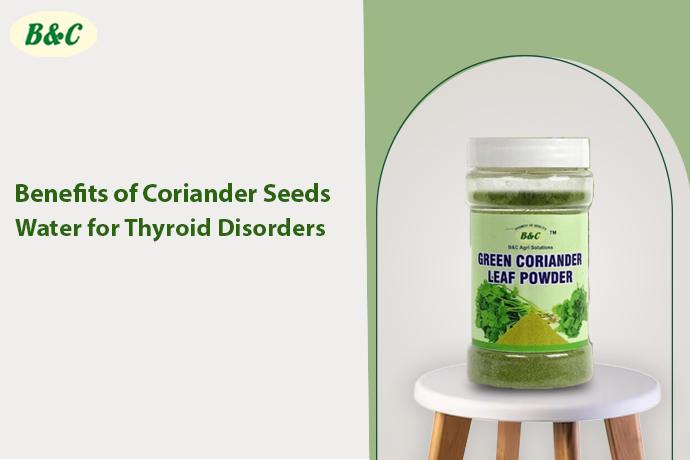 Benefits of Coriander Seeds Water for Thyroid Disorders