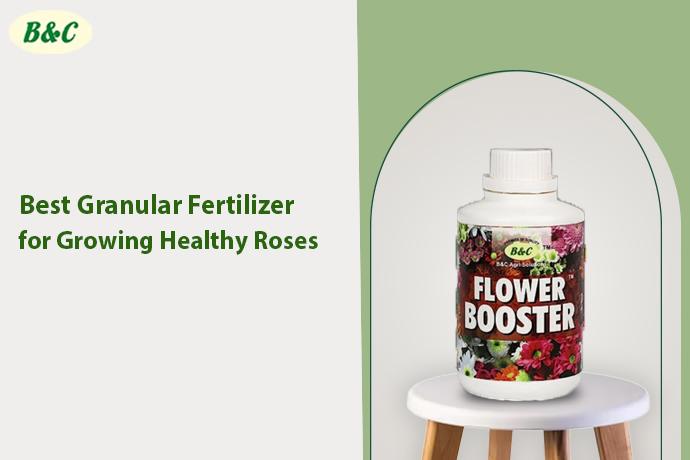 Best Granular Fertilizer for Growing Healthy Roses