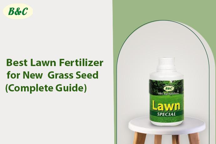 Best Lawn Fertilizer for New Grass Seed (Complete Guide)