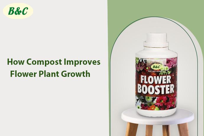 How Compost Improves Flower Plant Growth Naturally