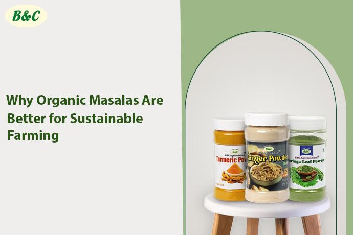 Why Organic Masalas Are Better for Sustainable Farming