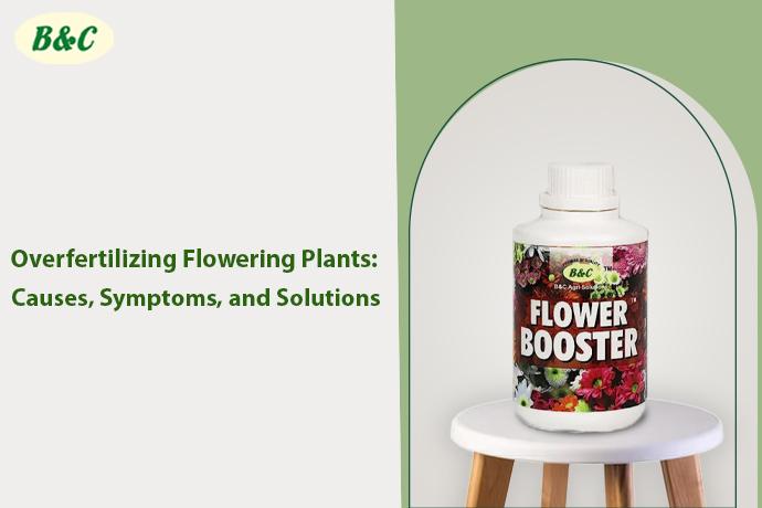 Overfertilizing Flowering Plants: Causes, Symptoms, and Solutions