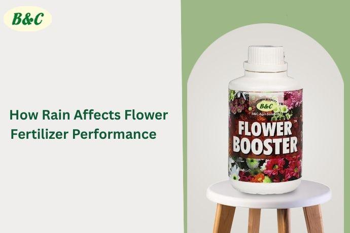 How Rain Affects Flower Fertilizer Performance
